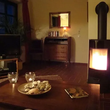 Nest Fohr Nest 1