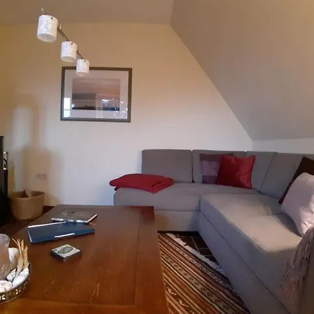 Nest Fohr Nest 1